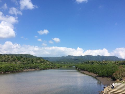 版権フリーの空と雲の写真素材