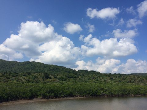 版権フリーの空と雲の写真素材