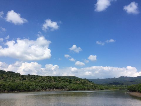 版権フリーの空と雲の写真素材