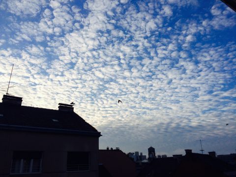 版権フリーの空と雲の写真素材