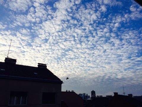 版権フリーの空と雲の写真素材