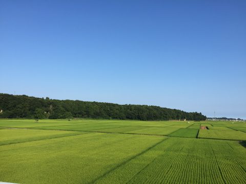 版権フリーの空と雲の写真素材