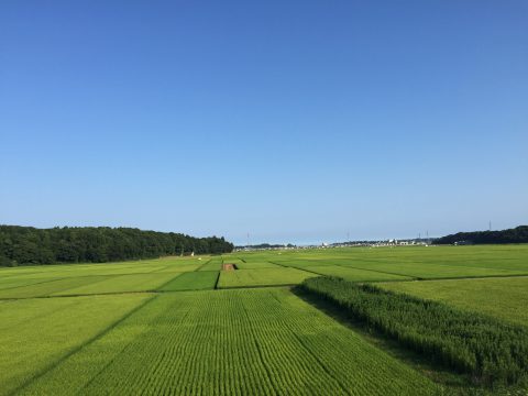 版権フリーの空と雲の写真素材