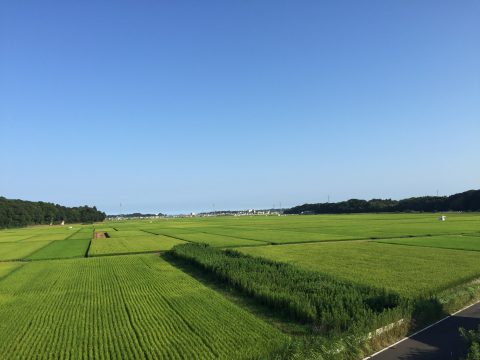 版権フリーの空と雲の写真素材