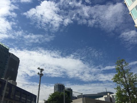 版権フリーの空と雲の写真素材