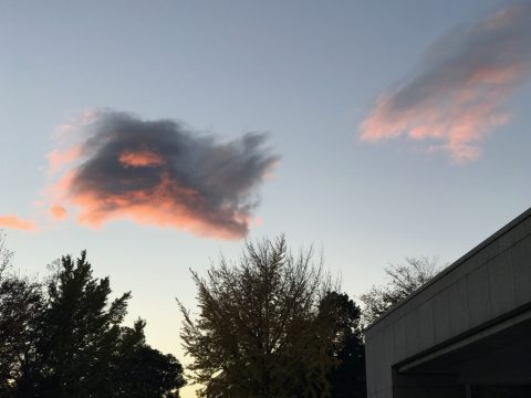 版権フリーの空と雲の写真素材