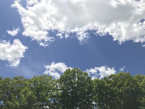 版権フリーの空と雲の写真素材