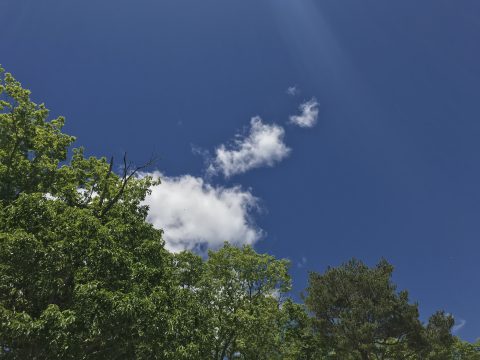 版権フリーの空と雲の写真素材