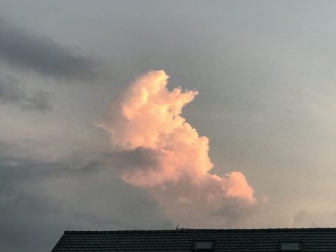 版権フリーの空と雲の写真素材