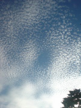 版権フリーの空と雲の写真素材