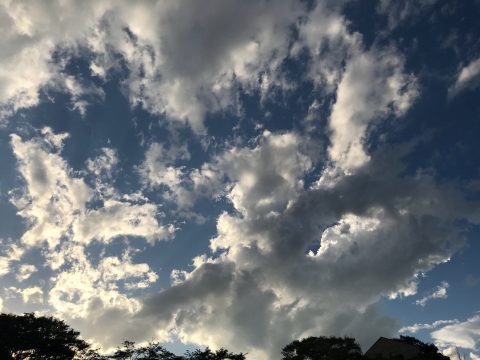 版権フリーの空と雲の写真素材