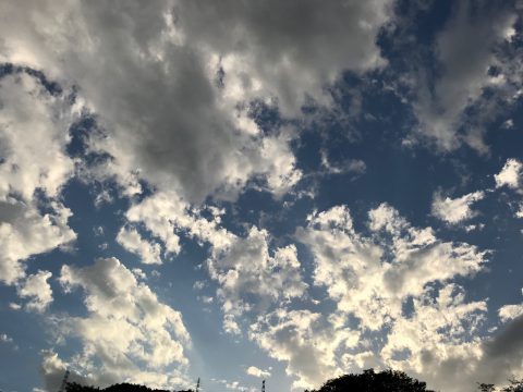 版権フリーの空と雲の写真素材