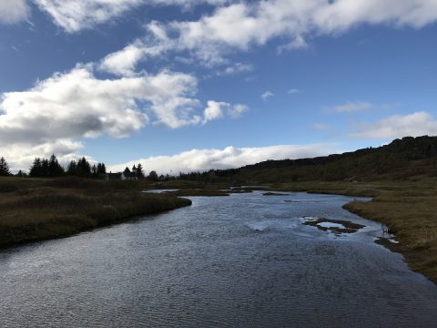 版権フリーの空と雲の写真素材